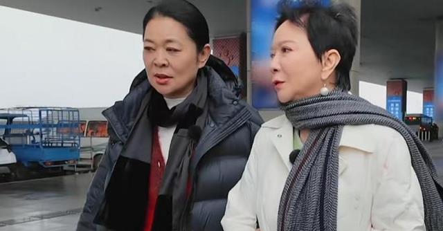 《一路繁花》舆论失控!向太、倪萍、蔡明的评论区无一幸免