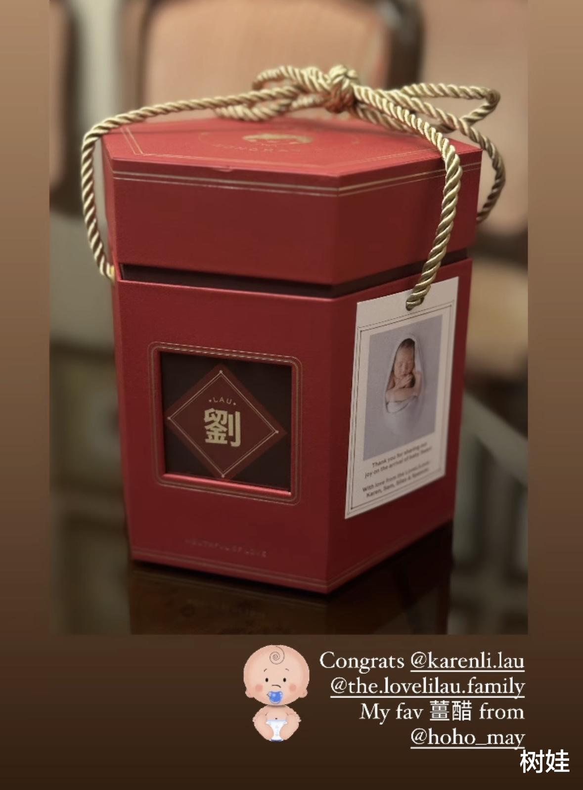 30岁百亿名媛李嘉颖生下第三胎，孩子出生照曝光，三个娃都是儿子