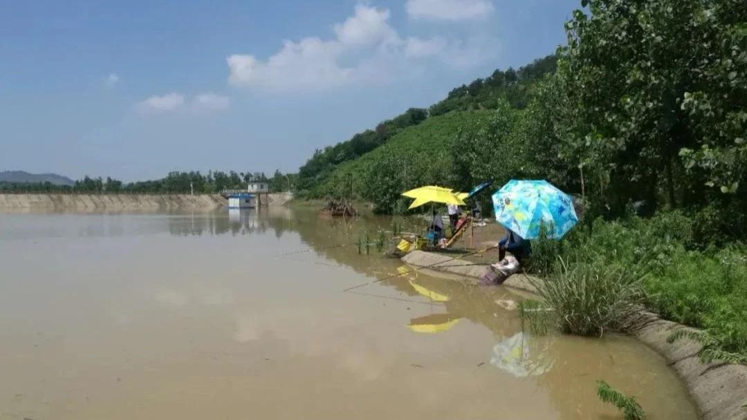 钓鱼骗局无处不在，钓鱼人很无奈，成不得不面对的灰色现实！