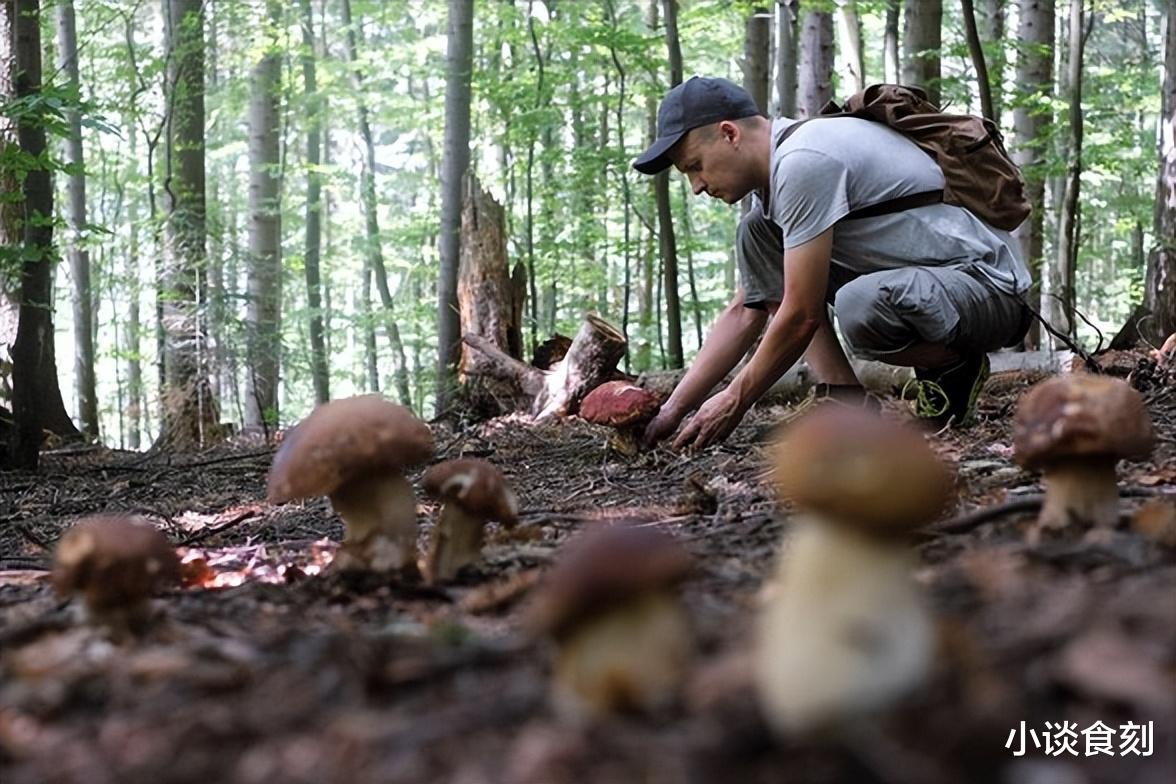 “出门3不捡，捡了灾祸多”，是指哪3样东西不捡？捡了有啥后果？