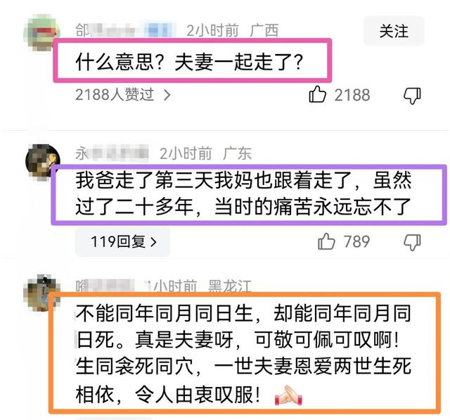 徐少强去世：小30岁妻子跟随而去，知情人讲述内幕，相关细节曝光