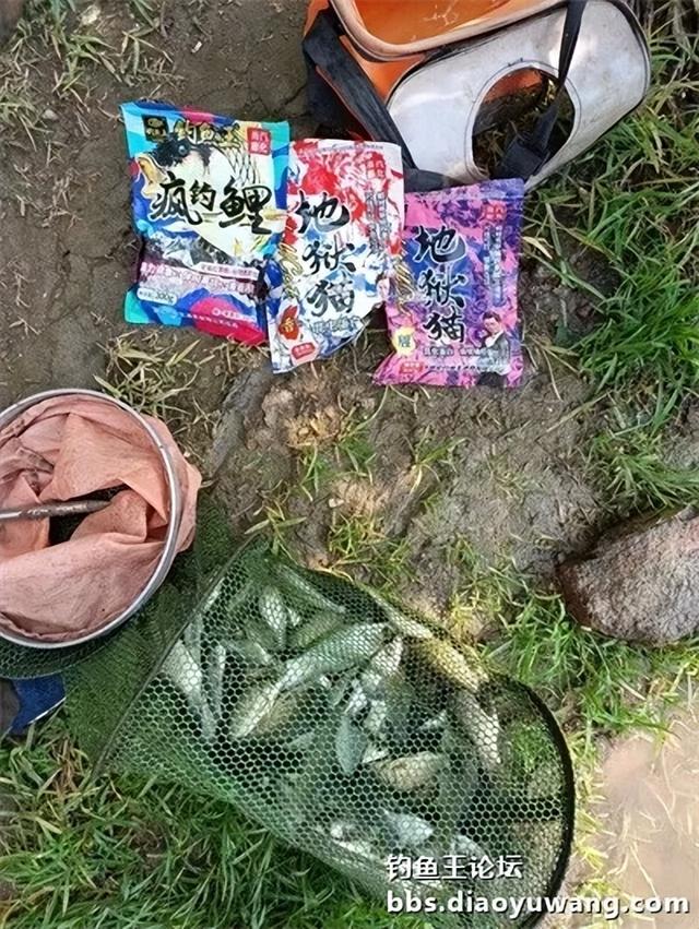 地狱猫头伏立功