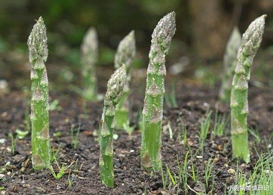 夏天这菜使劲吃,硒含量极高,清热去火降三高,别不懂吃