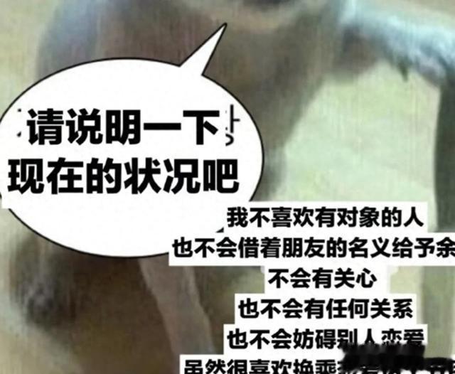 七年青春喂了“狗”,插足者疯狂叫嚣,渣男美美隐身