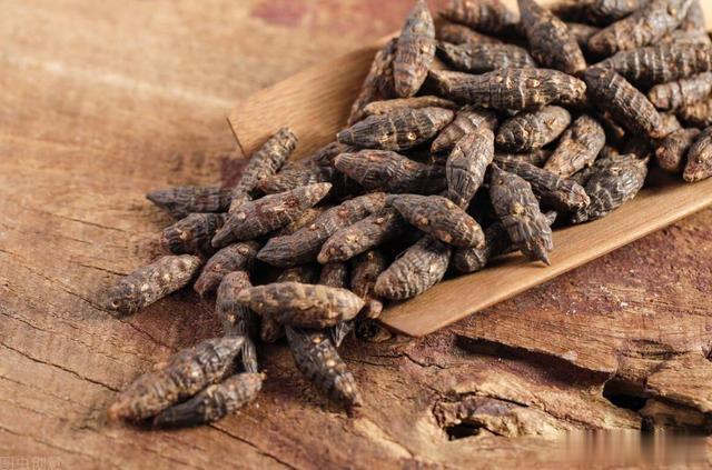 胃病都是堵出来的，一个中成药，打通全身瘀堵，横扫胃炎、胃溃疡