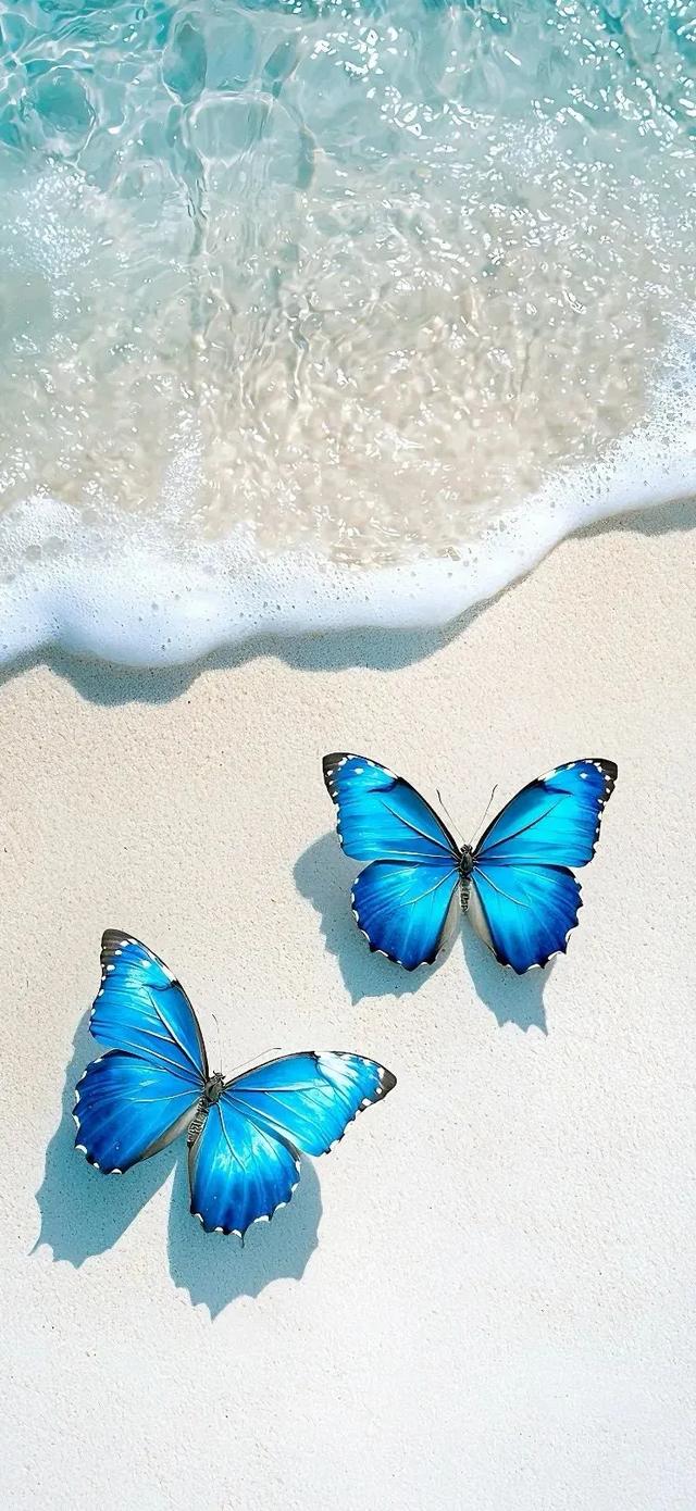 手机壁纸:星光闪烁,浪漫无限