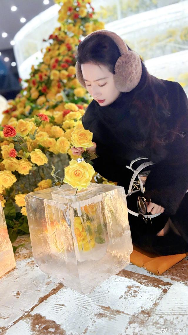 刘亦菲去哈尔滨看黄玫瑰了，穿着肉色打底裤保暖为上啊