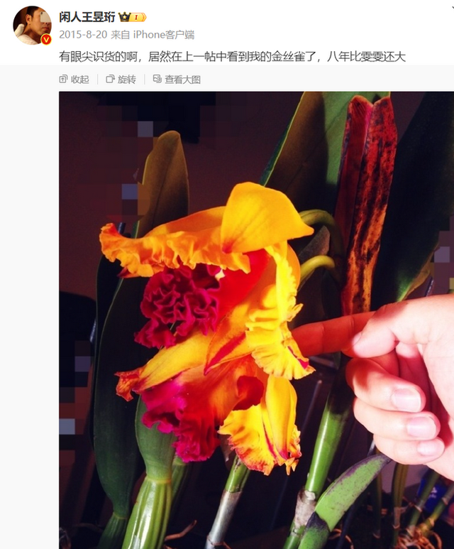 王昱珩|鬼才之眼王昱珩：清华毕业没上过一天班，退出最强大脑，后来怎样