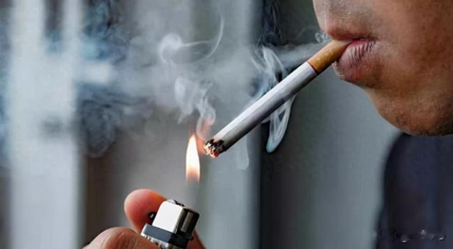 吸烟真的有害吗？英国烟草公司用48只狗做实验，3年每天吸100支烟