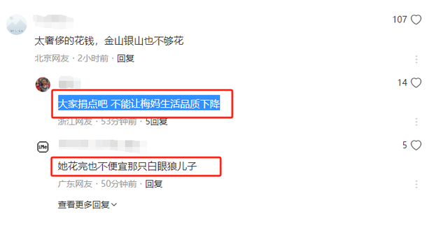 梅艳芳遗产已所剩无几,100岁梅妈一年要花270万,近日被申请破产