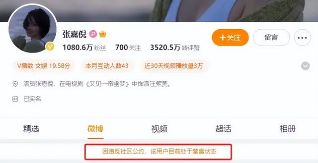 张嘉倪:被封杀后断崖式衰老,疯狂营销错误选择,终成人生输家