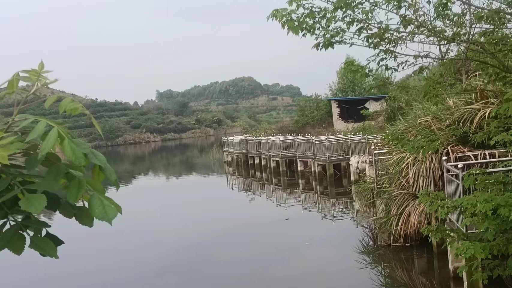 荆头山农场：鱼塘“大变身” “钱景”双丰收