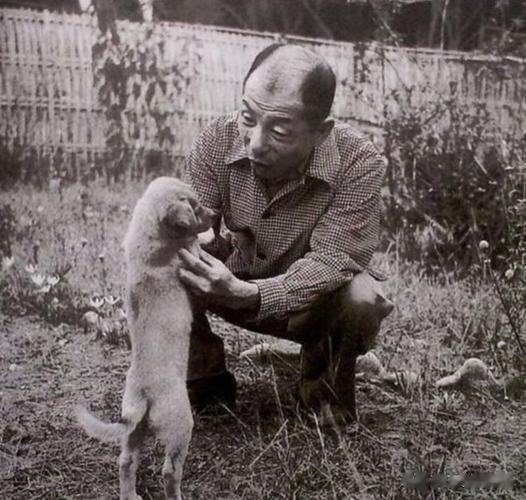 幽禁期间，张学良和夫人赵一荻罕见留影，可以看出他们的真实颜值