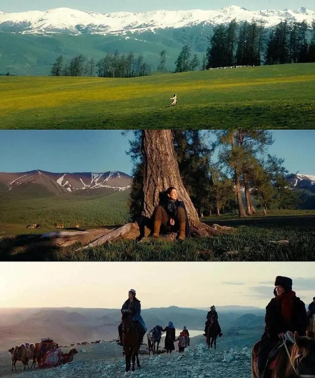 给年度热剧排名：《我是刑警》勉强第五，《唐诡》第三，第一凭啥