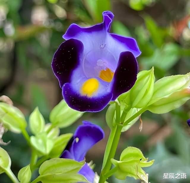 十二生肖职场防小人秘籍，助你顺利过今年！