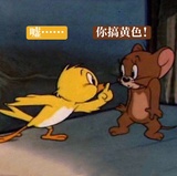 电影玩家罗格