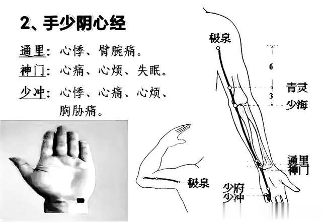 十二经络养生顺口溜，附图解