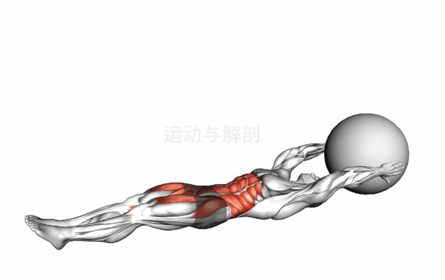 【每日一练】核心练得好，腰部强健用到老！