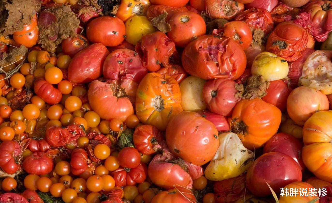 腐烂的西红柿别扔掉,越烂越有价值,这3大用途,很多人都想不到