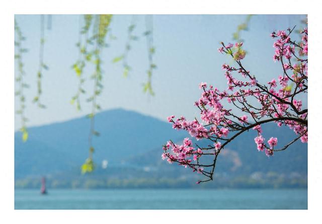 女子手臂有红点到医院检查，医生直接安排住院！医生：真是命大