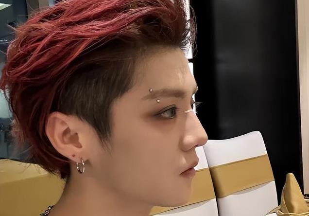 鹿晗凌晨醉酒直播,脏话怼黑粉,秀新纹身和满脸“钉子”!