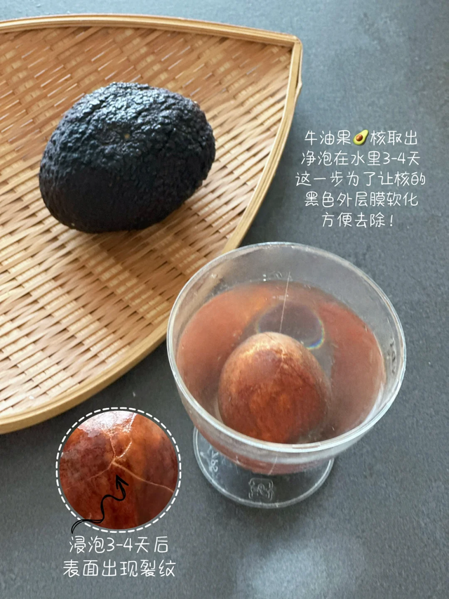 吃完的4种“水果核”先别扔，丢进花盆里，15天拥有一个小森林！