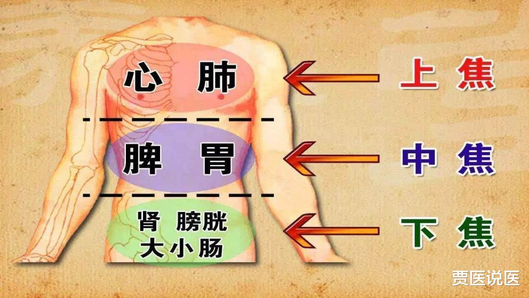 汗多是气虚，口水多是气虚，尿多也是气虚，中医教你一招补气固气