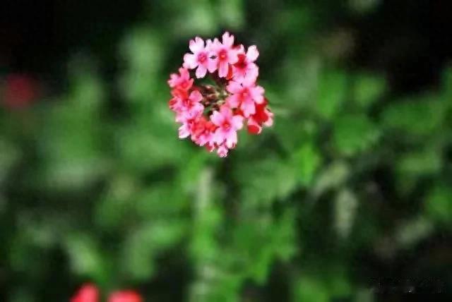 身在职场,小心围猎和陷阱