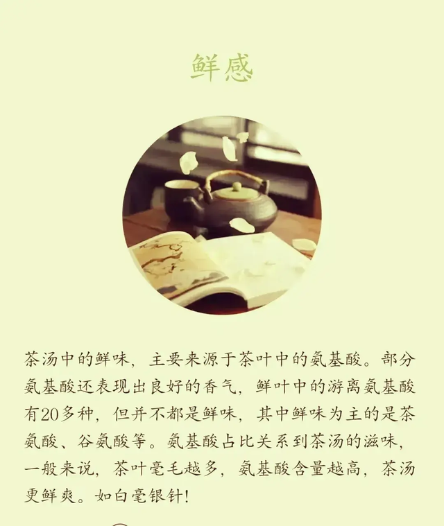 茶不洗你敢喝吗？什么茶要洗？什么茶可以不洗？