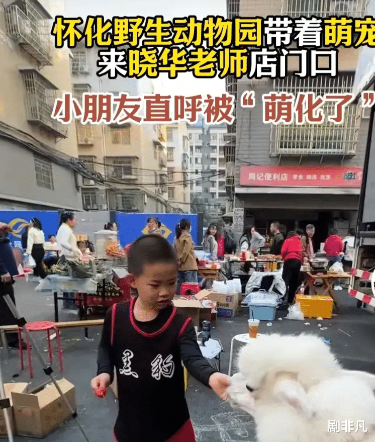 向佐找“人民理发师”晓华理发,向太送二手香奈儿包,房东发声