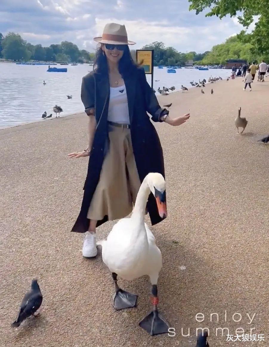 森林北跟章子怡杠上了,暗戳戳比美,汪峰秃顶,被嘲放纵过度