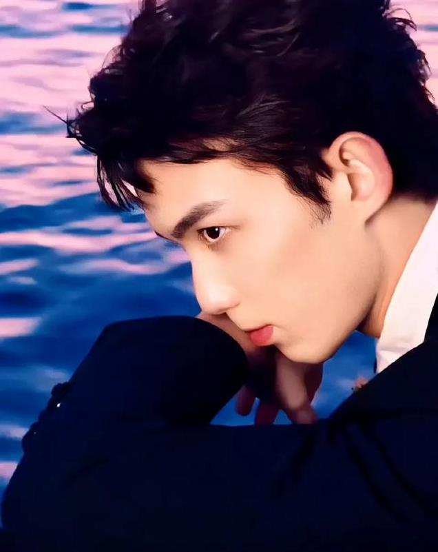 平心而论,内娱真正的绝色美男只有12位,他们酷帅雅痞,清新性感