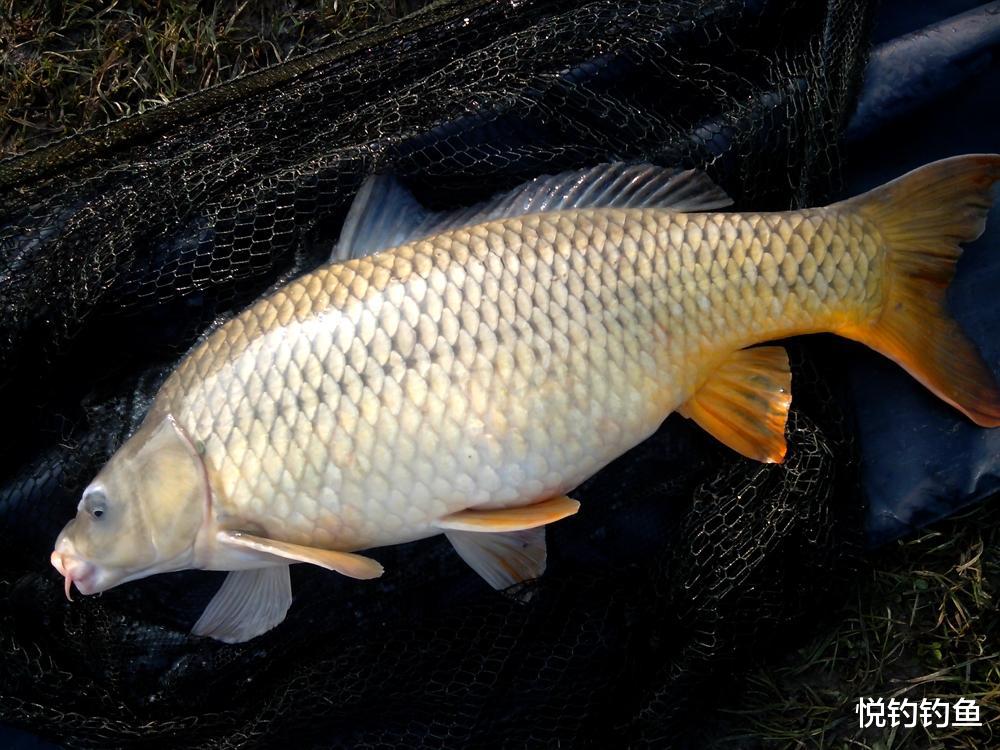 钓大鱼是个技术活儿，先从准备工作开始……