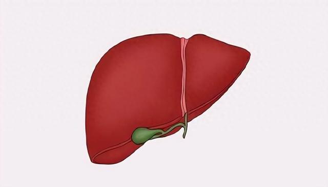67岁女子查出胆囊癌，一周两次清蒸鱼，半年后复诊：你在吃啥？