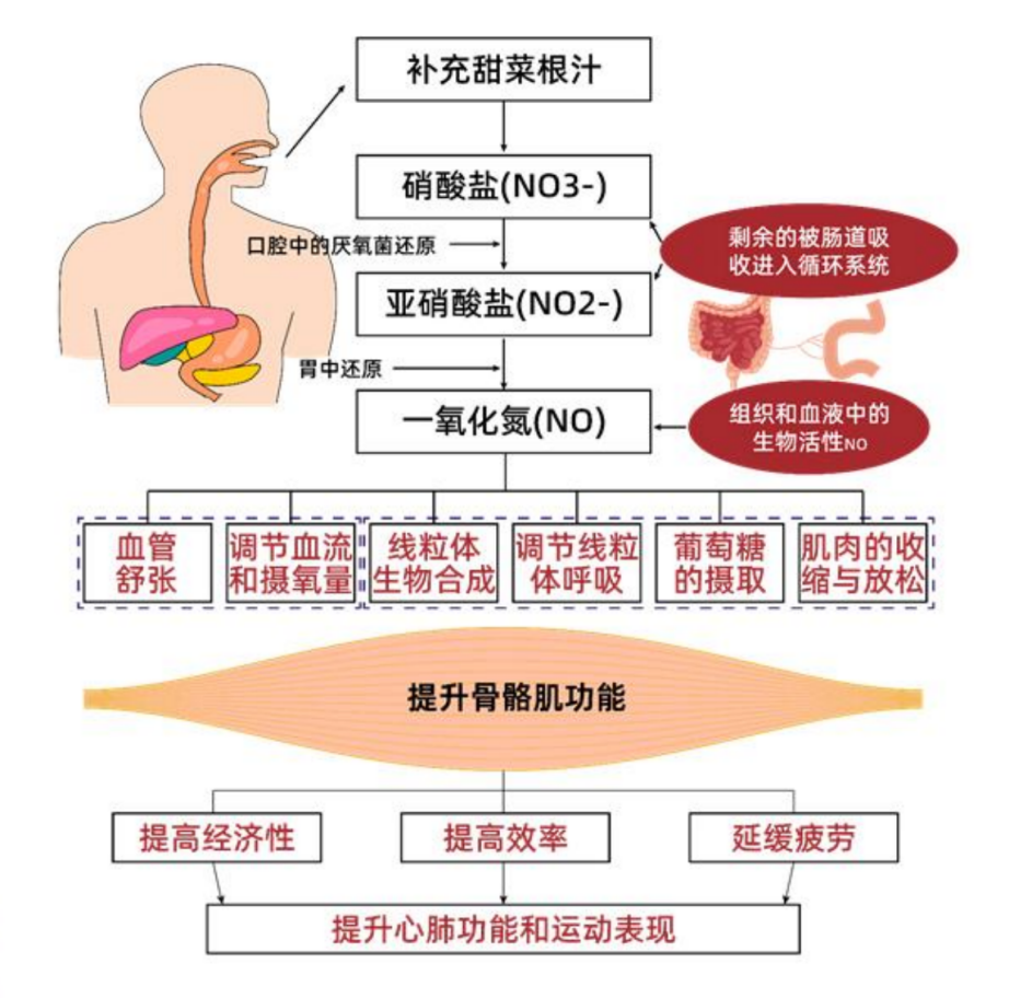 全马4小时跑完,在跑圈是什么级别?