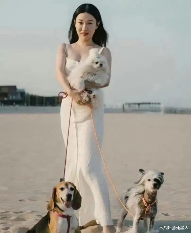 同是43岁，把柳岩和霍思燕近照放一起看，珠圆玉润的美就出来了