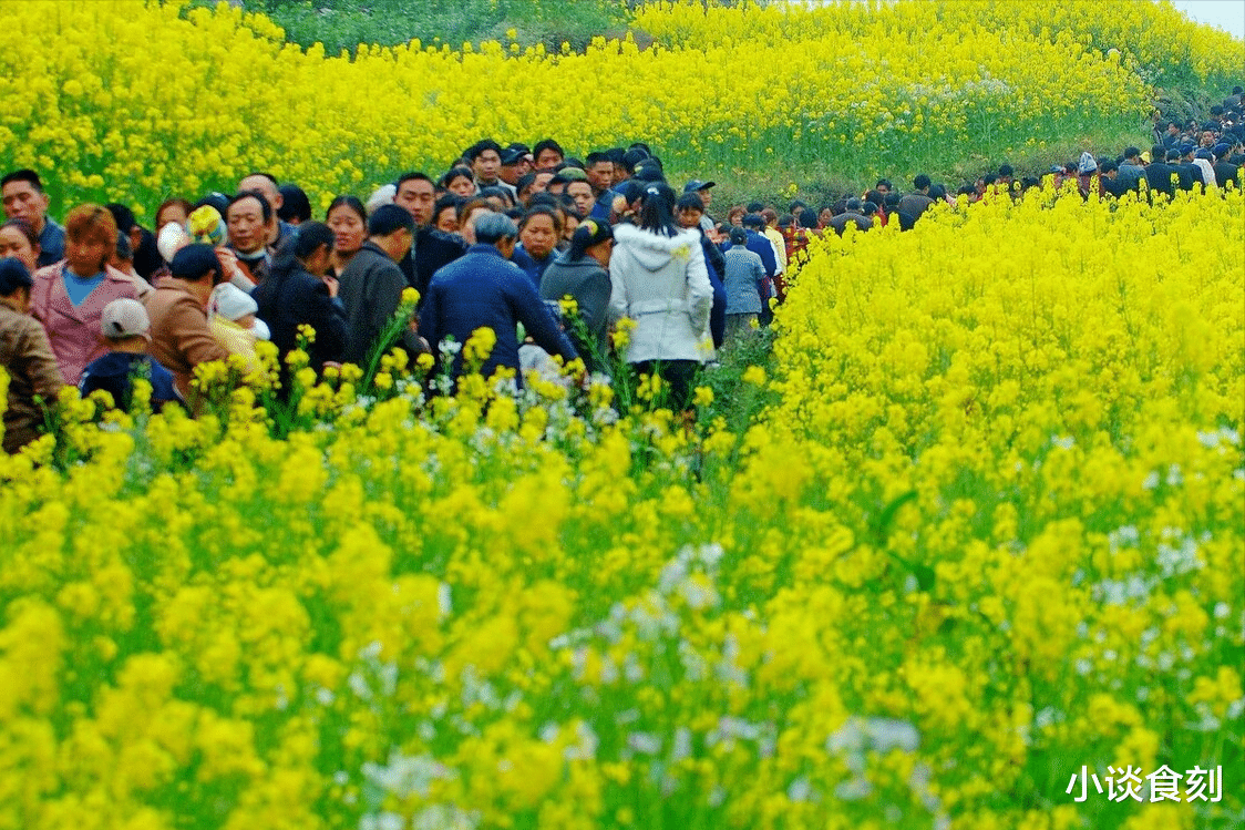 “戊日不上坟,上坟祸临门”,啥是“戊日”?今年清明要上坟吗?