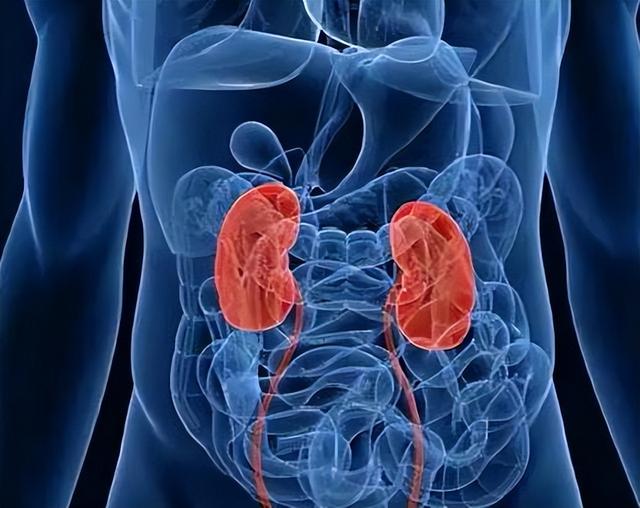 神奇药丸知柏地黄丸,专治常见病症