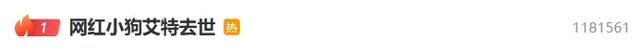 冲上热搜！网红确认去世，陈乔恩发声！