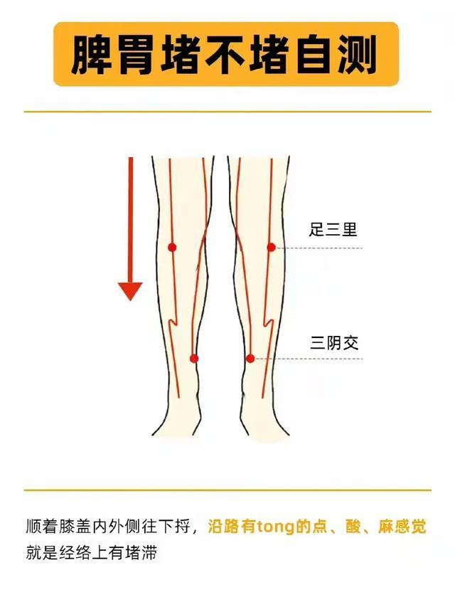 神奇小腿自测法：刮一刮，脾胃健康全掌握！