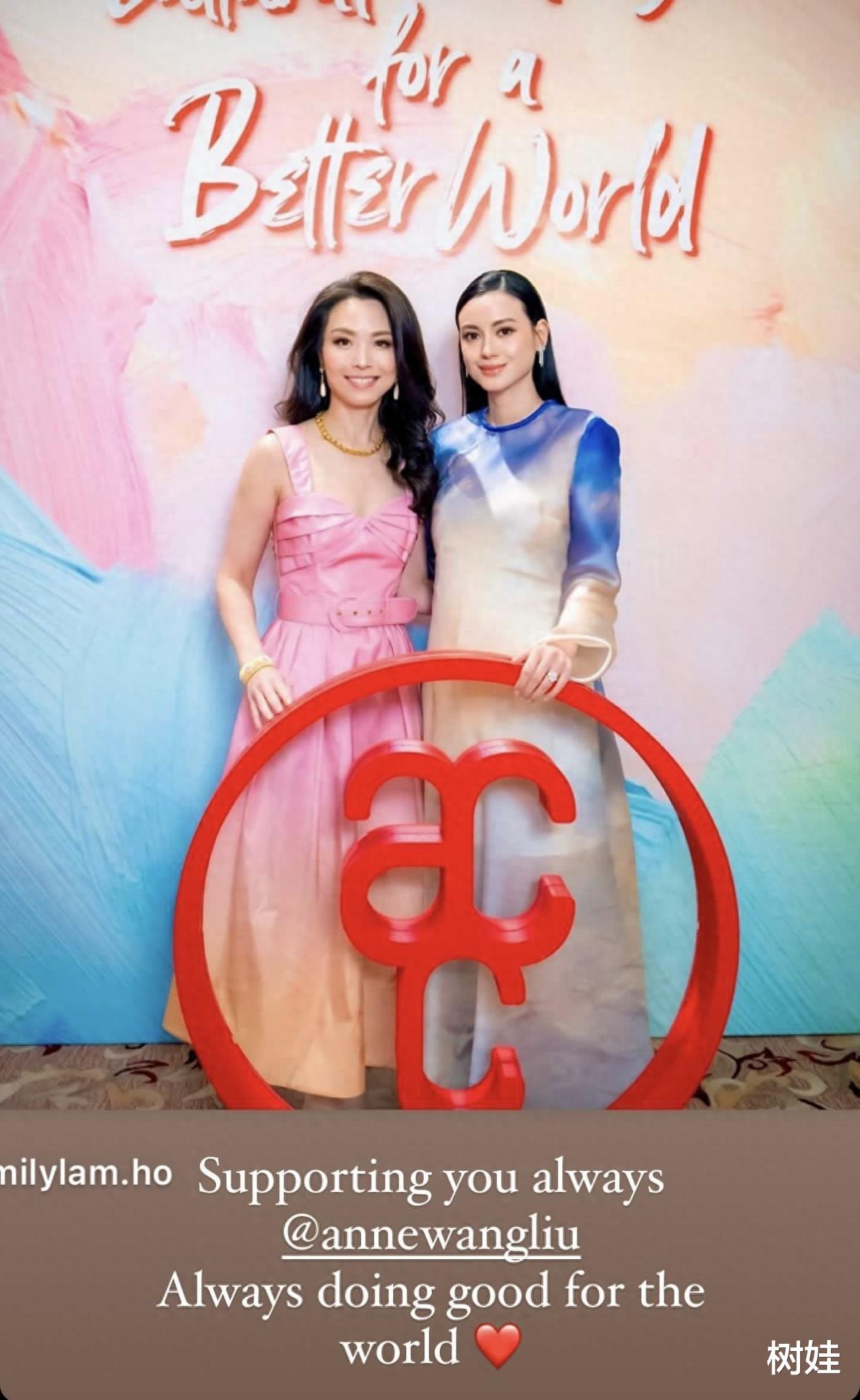 汪圆圆出席名媛聚会，穿碎花裙气质温婉，同框林恬儿站边上仍出众