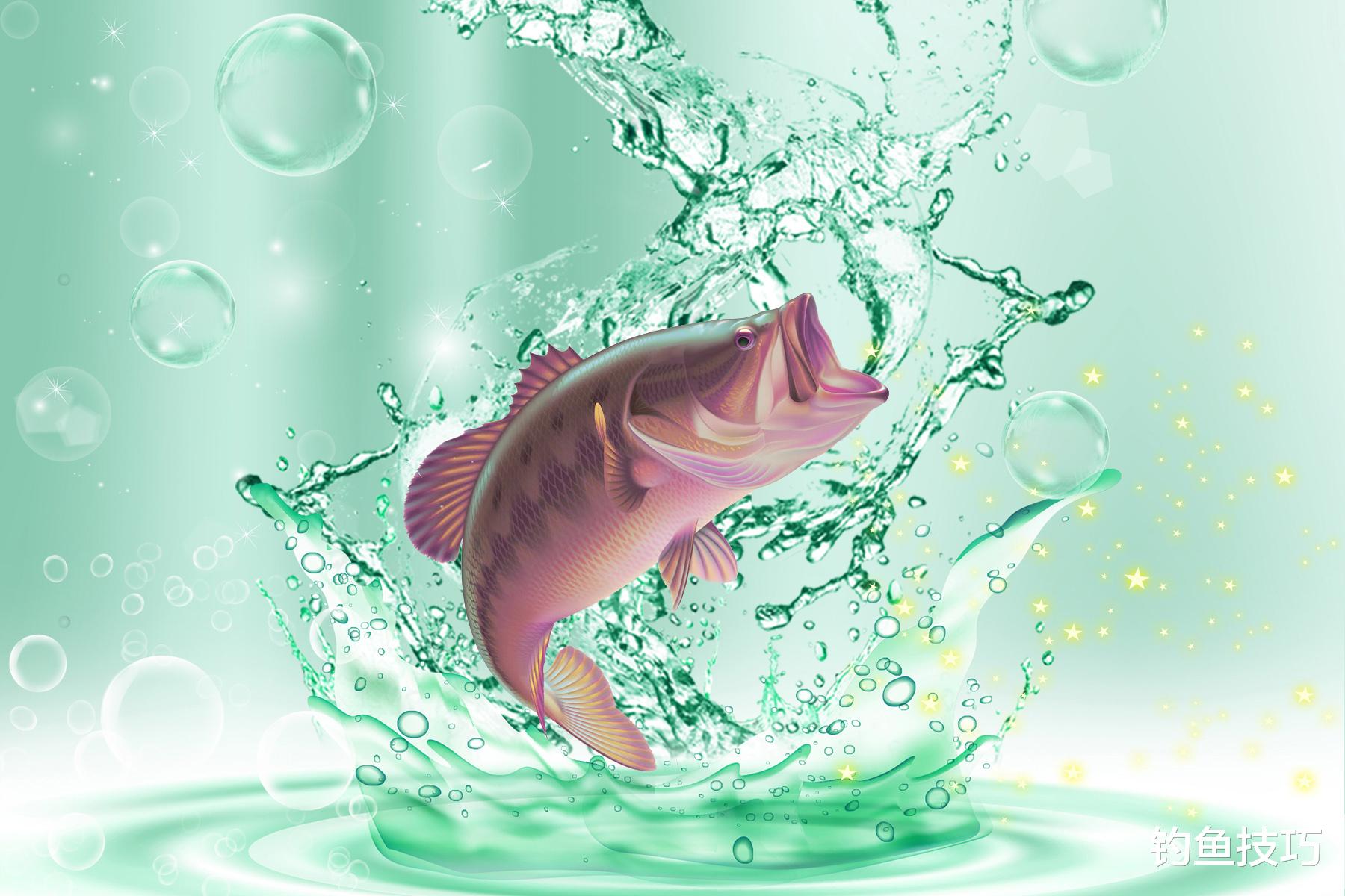 钓鱼抓口的正确时机，针对不同的垂钓场景