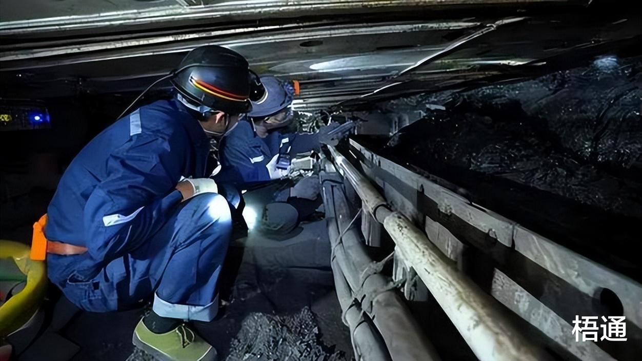 13个大学生抢一个矿工岗位，1179万大学生毕业，大学生该何去何从