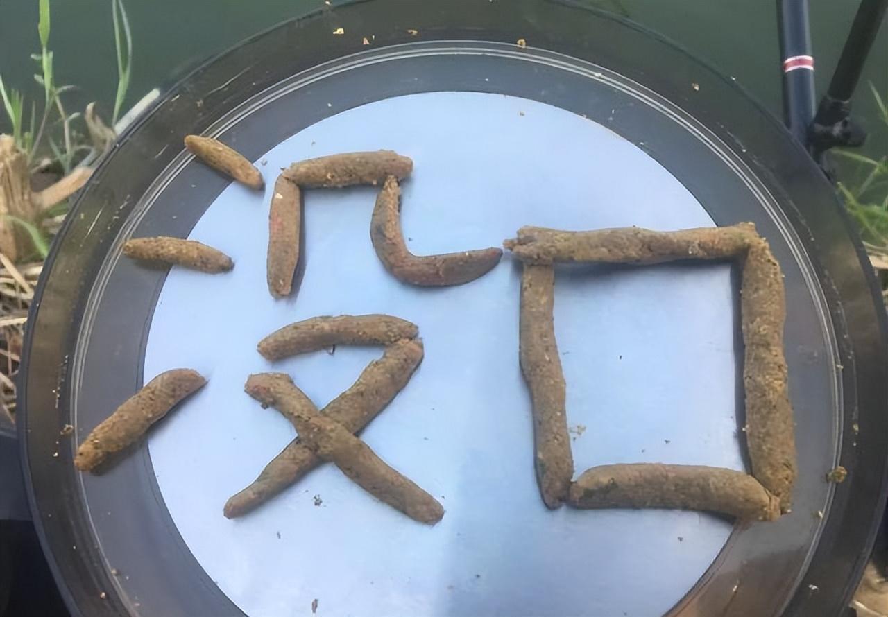 一位钓友“翻船”了,造成空手而归,原因仅是忽略了这一点!