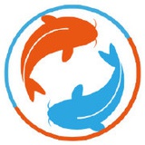 一只可爱小可爱