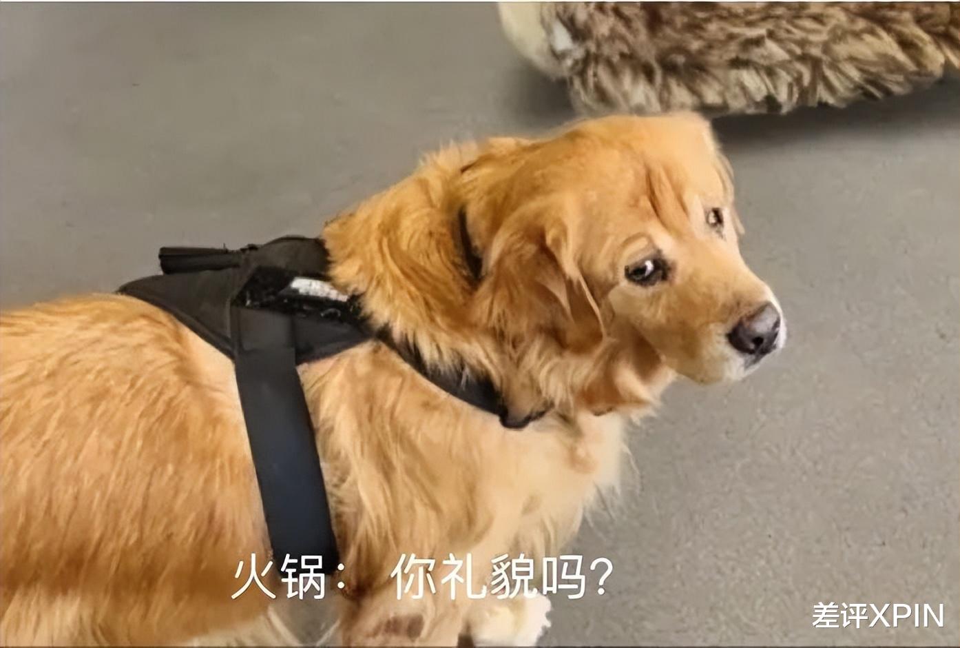 蓝牙史诗级更新,这回是冲着苹果来的?