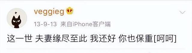 离婚官宣,我只服王菲!简单的几个字,找回自己半辈子的快乐!