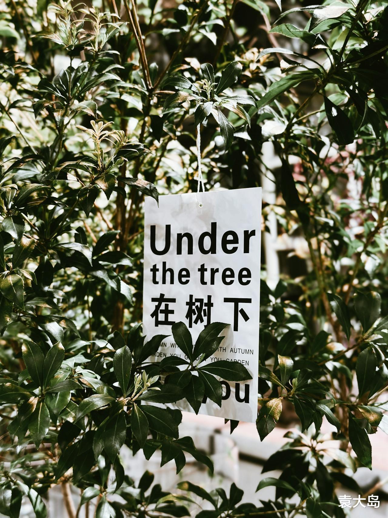 不要看你快乐，只想让你焦虑（人间乱象）