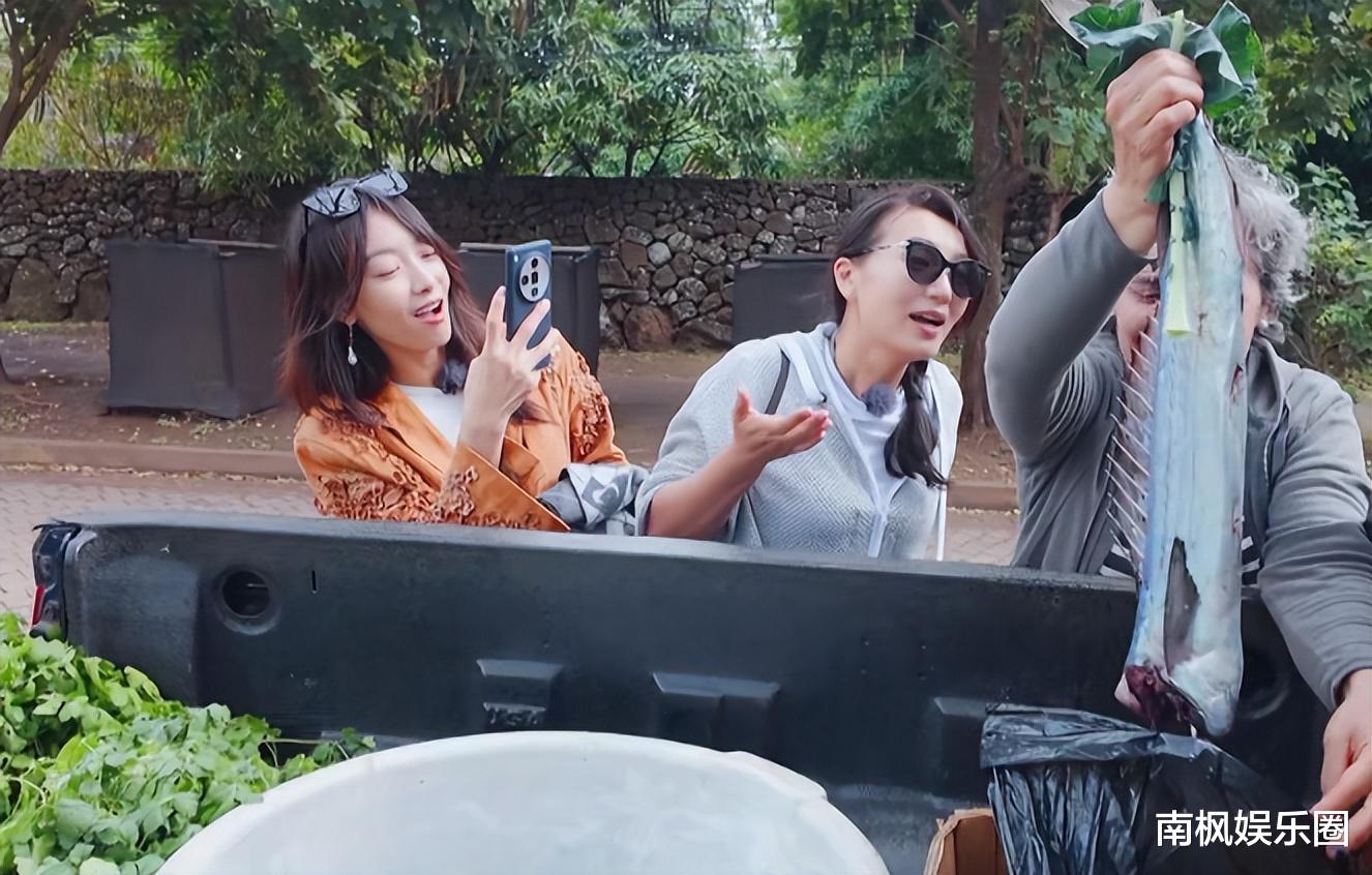 难看到离谱,周雨彤好烦人,扑街的《花少6》突然戏精全出动