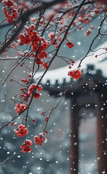 现在才发现:原来当年的《还珠格格》，是琼瑶阿姨一大家子的杰作